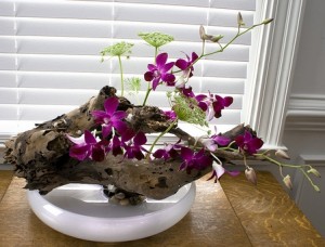 What are the requirements for growing orchids indoors?
